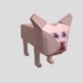 Skyslashk 的头像