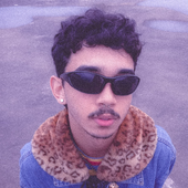 Pedro_henrilima 的头像