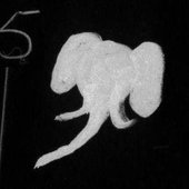 5 Little Elephants