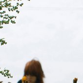 field