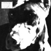 dogfood - Single