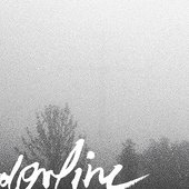 Borderline Collie