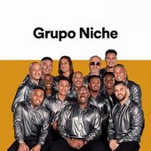 grupo-niche.jpg