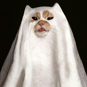 Avatar for bickies1986