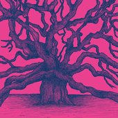The Overstory