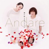 鏡に映る花のように