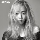 Sinb for ARENA