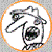 Avatar for F0rtung