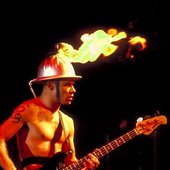 Flea