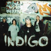 Indigo - Bristol