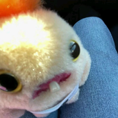 mymy's pet fuggler ! ⊹⋛⋋( ●´⌓`●)⋌⋚⊹