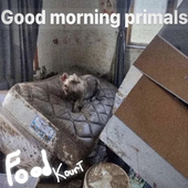goomorning
