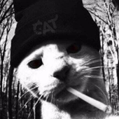 Marcel_ADN 的头像