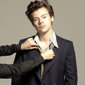 Harry Styles • Hits Daily Double