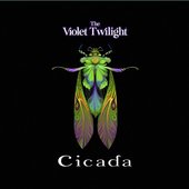 Cicada