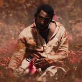 Santo Amaro - Single