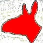 burro151 için avatar