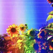 IMG_6481.jpeg