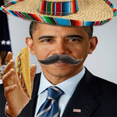 BrickBama 的头像