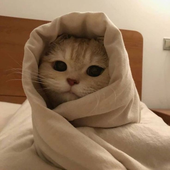 Moonlee__ 的头像