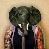 The Elephant in the Room