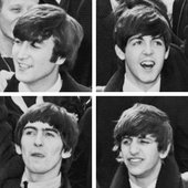 the goats