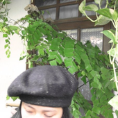 Avatar di laviotte