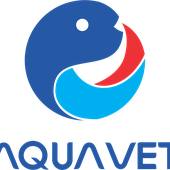 Avatar for hoachatpac