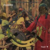 Floods - Numb
