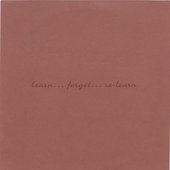 Learn… Forget… Re‐Learn