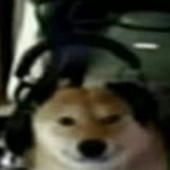 lizzpxo 的头像