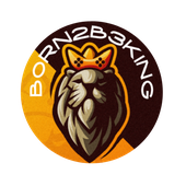 B0RN2B3KING 的头像