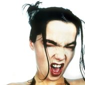 Björk by Ian Davies, 1993