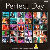Perfect Day