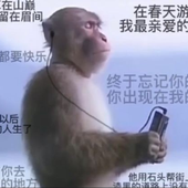 ItsFandi 的头像