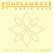 I Will Survive + This Love Mashup