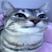 RainyKara 的头像