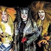Myriam_cats_Grizabella_0101.jpg