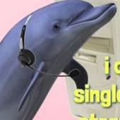 DolphinSoop 的头像