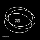 Tere Bina - Single