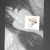 kitieqr 的头像