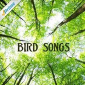 Bird Songs: Relaxing Sounds, Sounds of Nature Music for Massage, Relaxation, Serenity, Stress Relief, Spa, Meditation and Spiritual Wellness