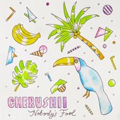 Nobody's Fool - Single