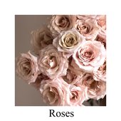 Roses Cover 1