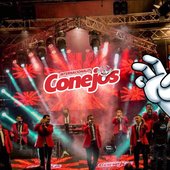 Internacionales Conejos