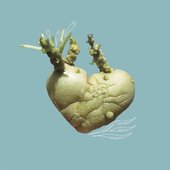 cuore tenero all'uovo