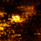Avatar for lindarka