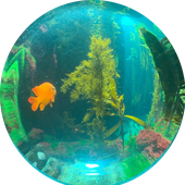 FishMcBigPond 的头像
