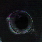 Avatar for PolllvoTheHuman