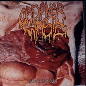 Bowel Erosion